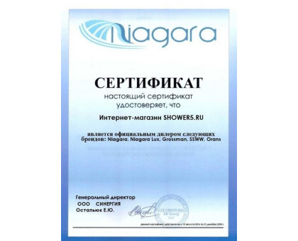 Душевая кабина Niagara Lux 7717G золото